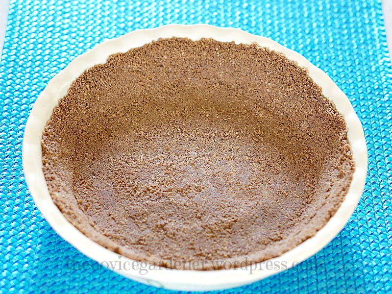 nutella graham cracker pie crust