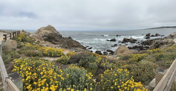 17 Mile Drive | Fiesta Friday.net