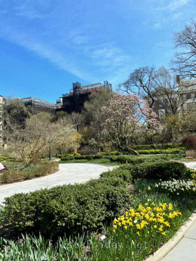 Central Park North | FiestaFriday.net