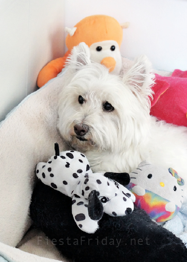 Skye on her 16th birthday | FiestaFriday.net